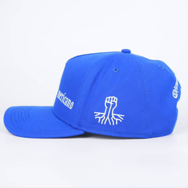 ESA LA | Hat (Black/Blue)