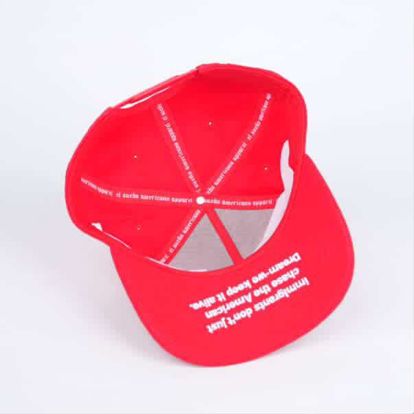 Immigrants Make America Great | Hat