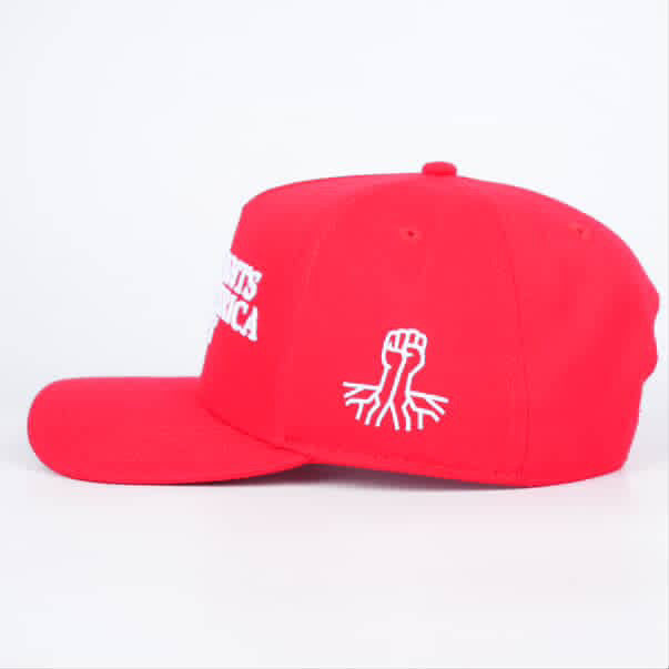 Immigrants Make America Great | Hat